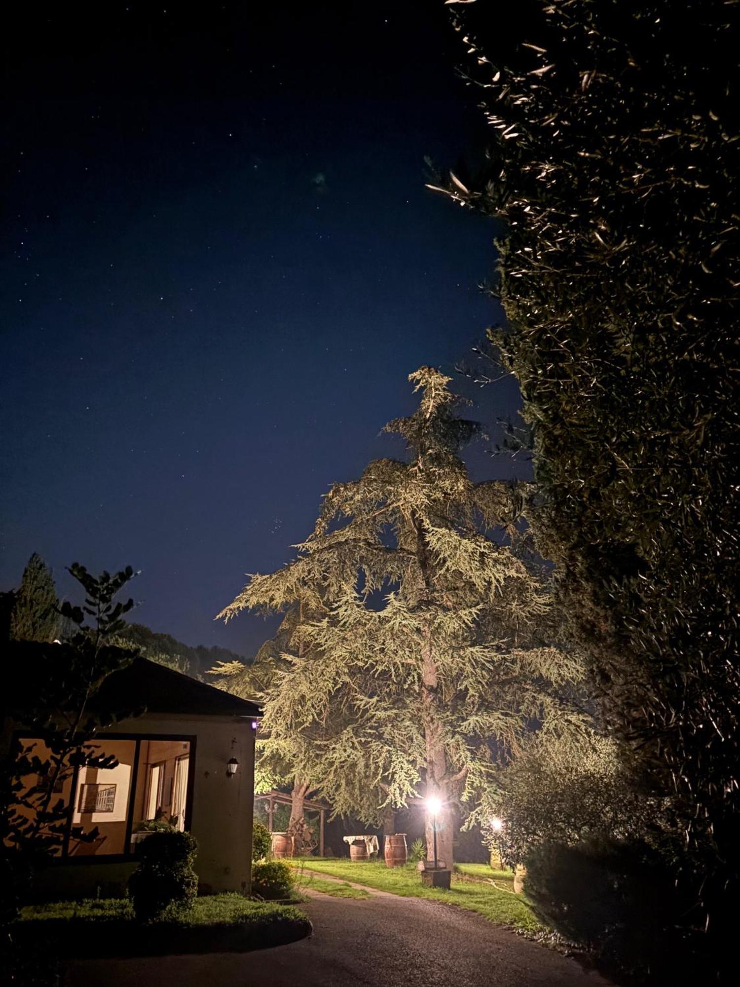 Tuscany Time Montefoscoli Exteriör bild