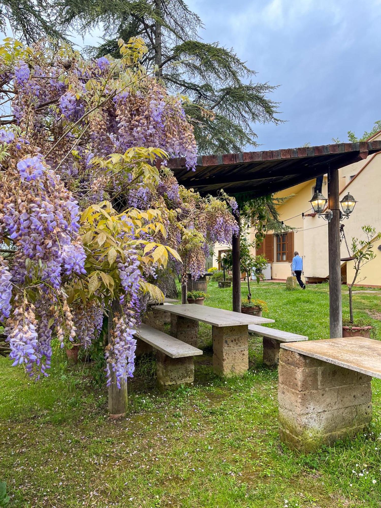 Tuscany Time Montefoscoli Exteriör bild